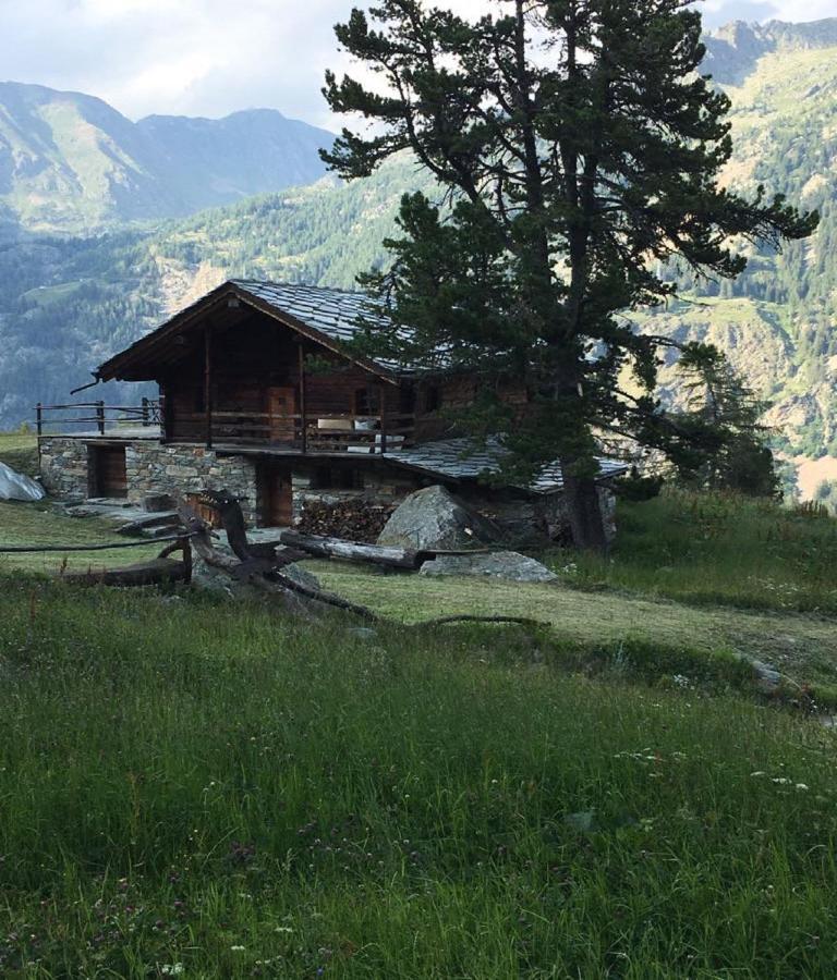 Baite Cialvrina Villa Gressoney-Saint-Jean Exterior photo